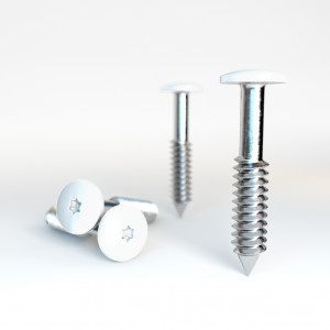 HPL Fassadenschrauben 4,8x38 Weiß RAL9016