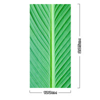 Aluwall Wandpaneel Palmblatt Grün - 9138 100x205cm gl&a