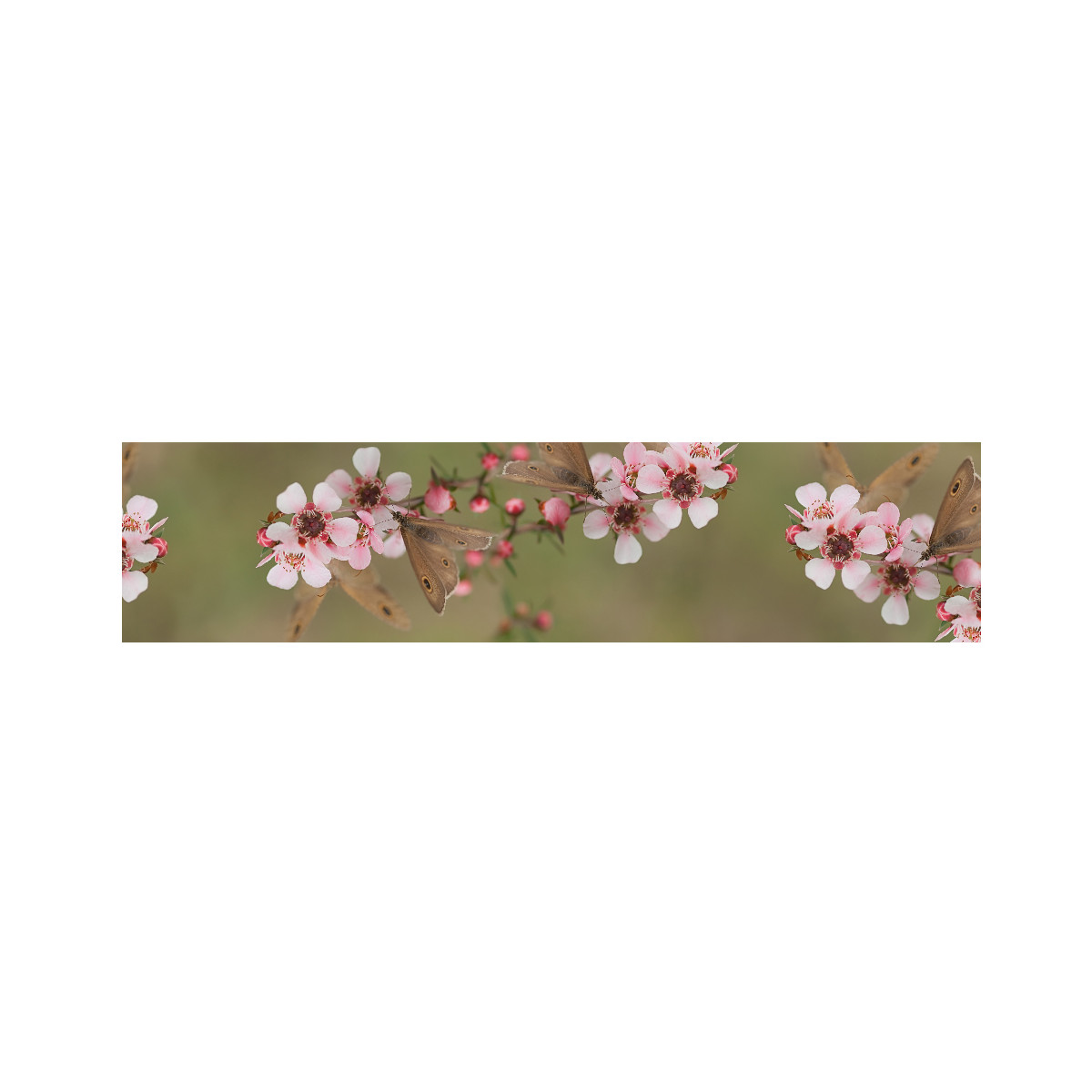 Aluwall Küchenrückwand Kirschblüten - 2031