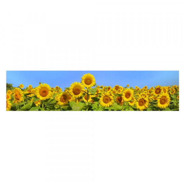 Aluwall Küchenrückwand Sonnenblumen - 0206