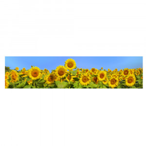 Aluwall Küchenrückwand Sonnenblumen - 0206