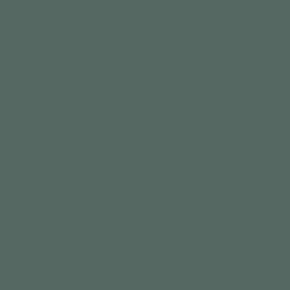 HEX 576A66
