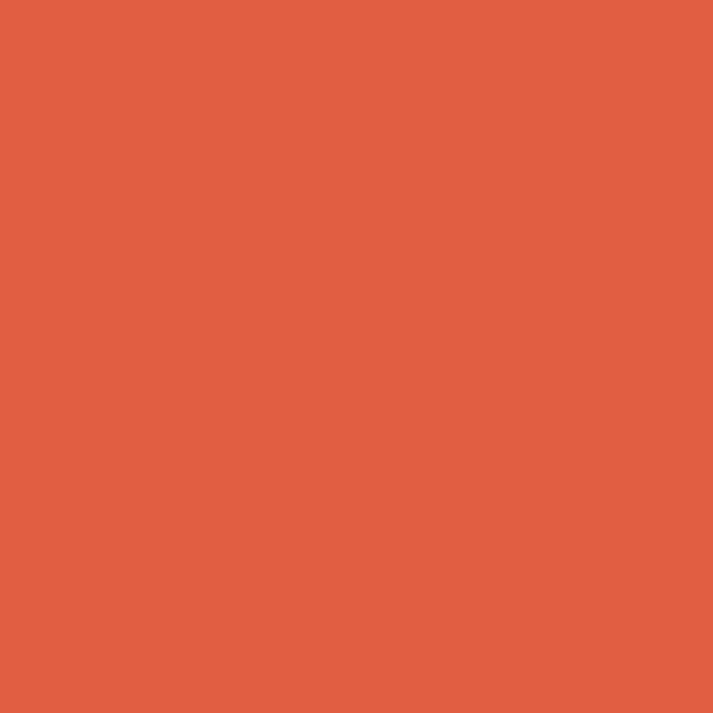 RAL 2005 Leuchtorange