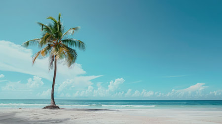 A beautiful beach with a lone palm tree and space for text.