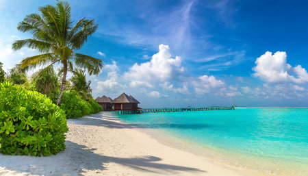 tropical beach in the maldives