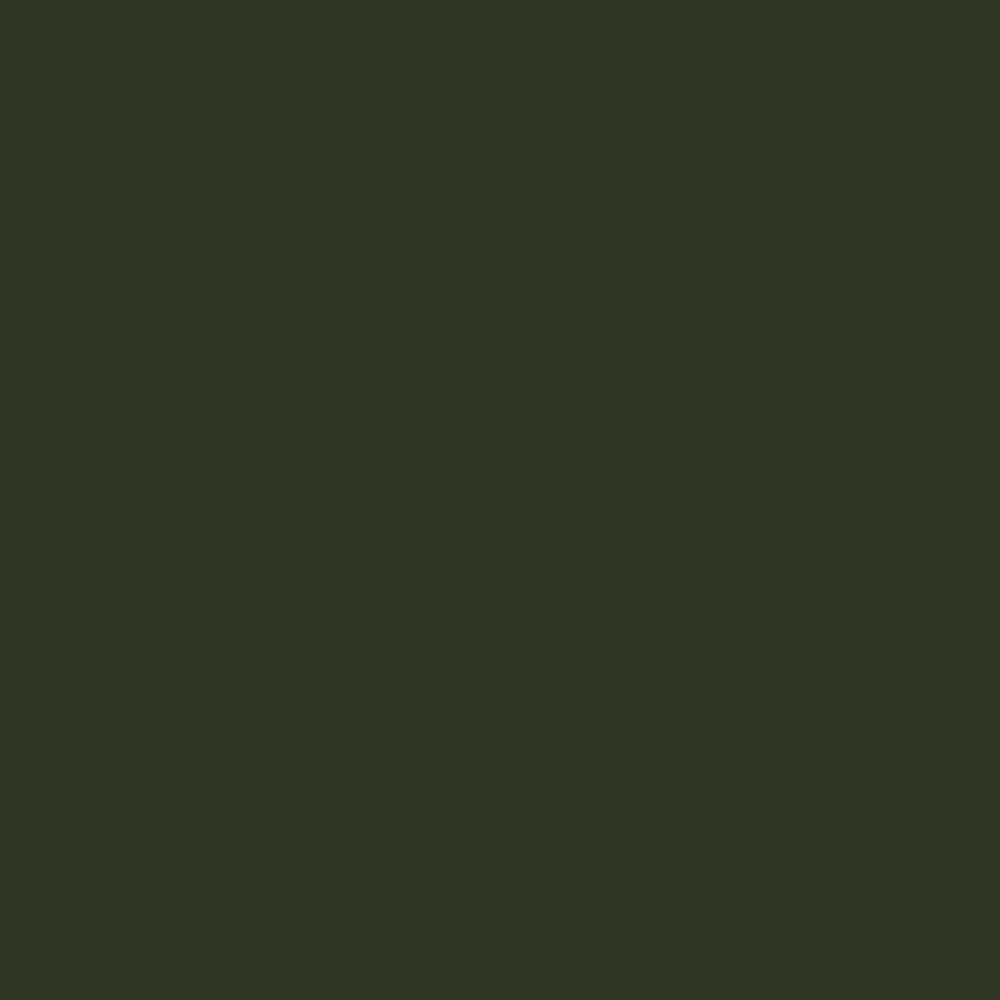 RAL 6022 Braunoliv