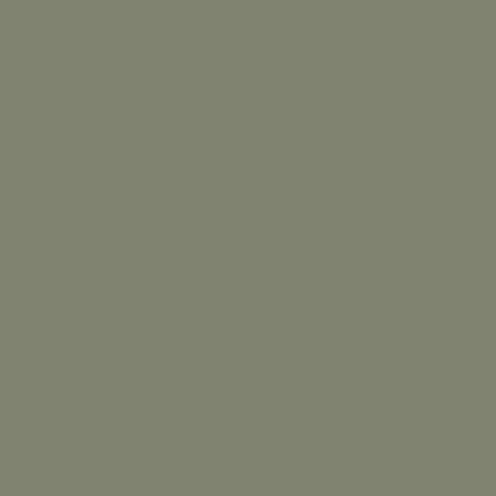 RAL 7003 Moosgrau