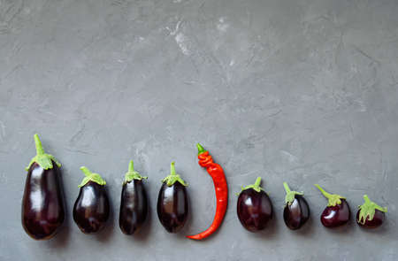 Ripe eggplant and one hot pepper are arranged in a row on a gray background. Top view.